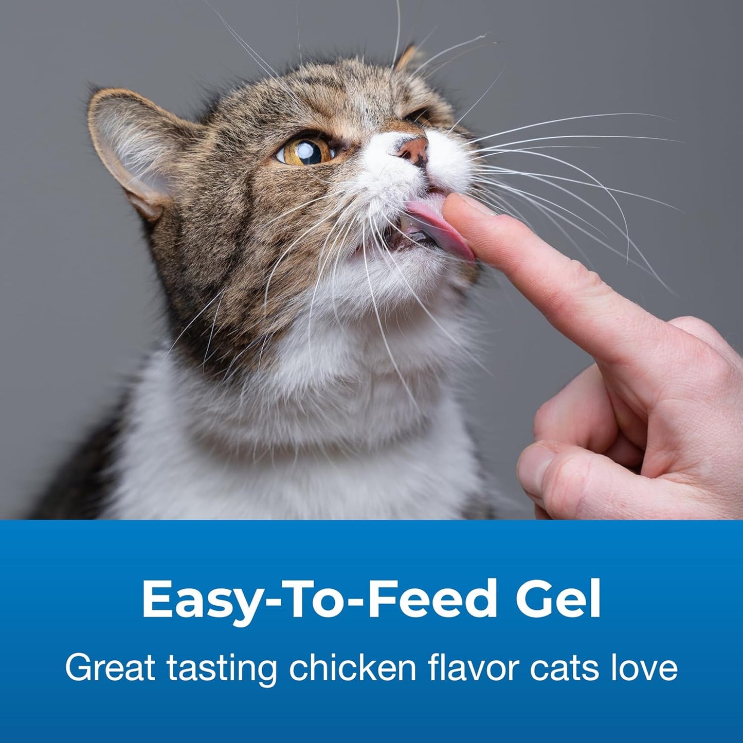 Pet-Ag Hairball - Suplemento de gel natural para gatos, 3.5 onzas, ayuda a prevenir y reducir las bolas de pelo