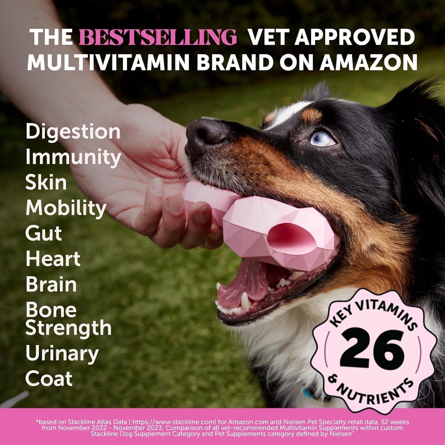 Pet Honesty - Suplemento multivitamínico para perros, 90 unidades