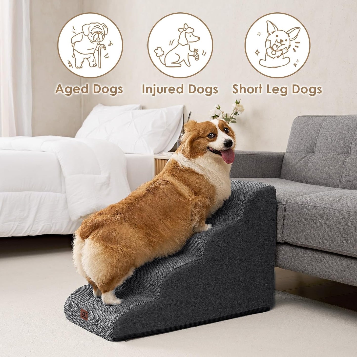 Rampa de escalera curva para perros