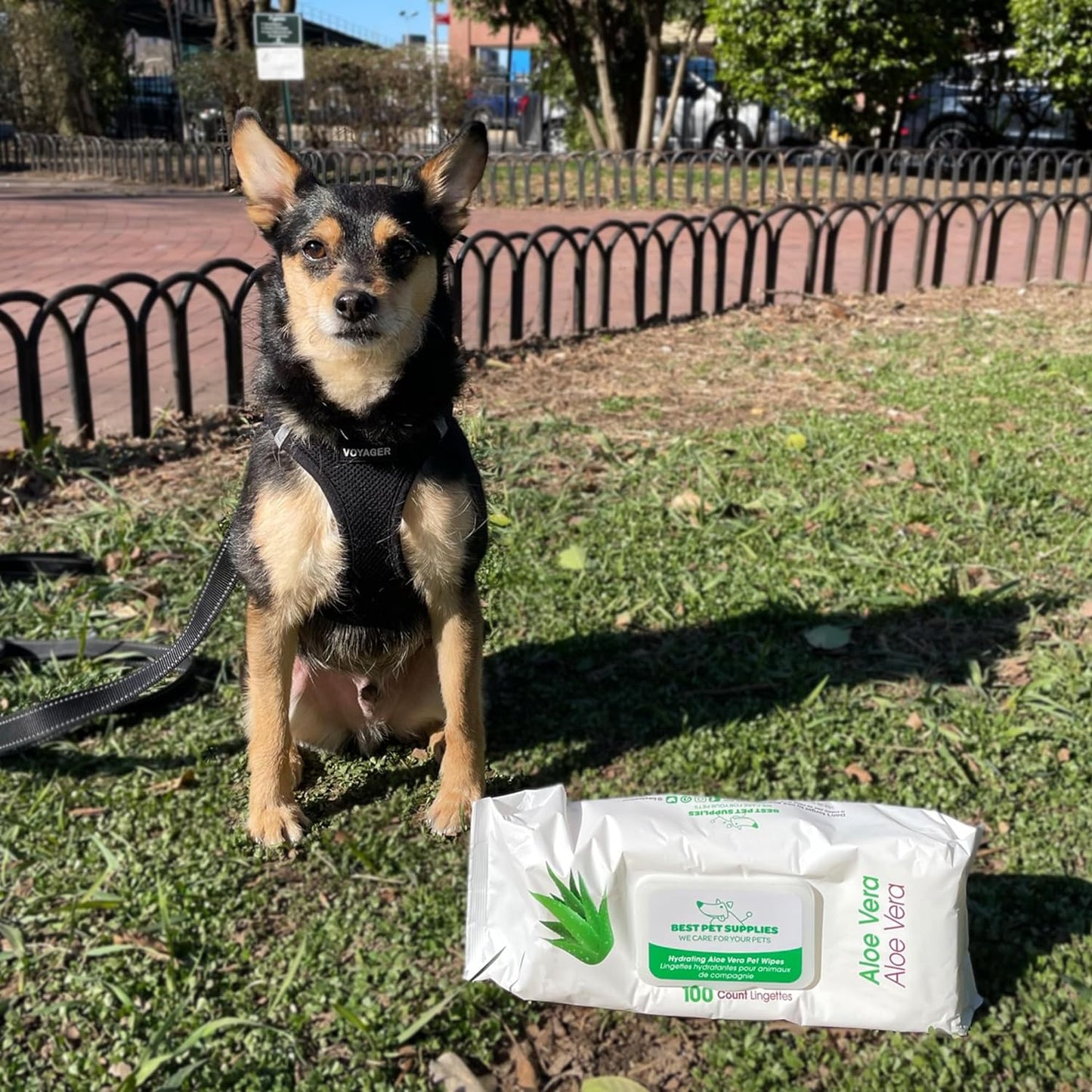 Best Pet Supplies - Toallitas de aseo para mascotas, para perros y gatos