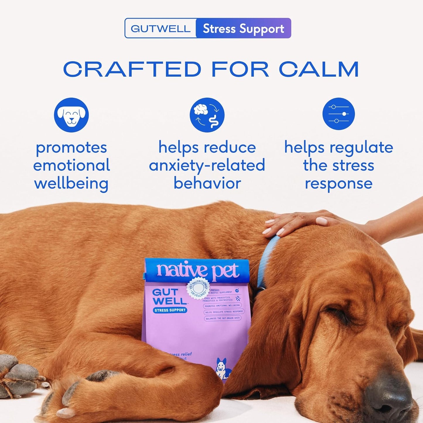 Native pet GutWell - Soporte para el estrés, alivio de la ansiedad y golosinas calmantes para perros