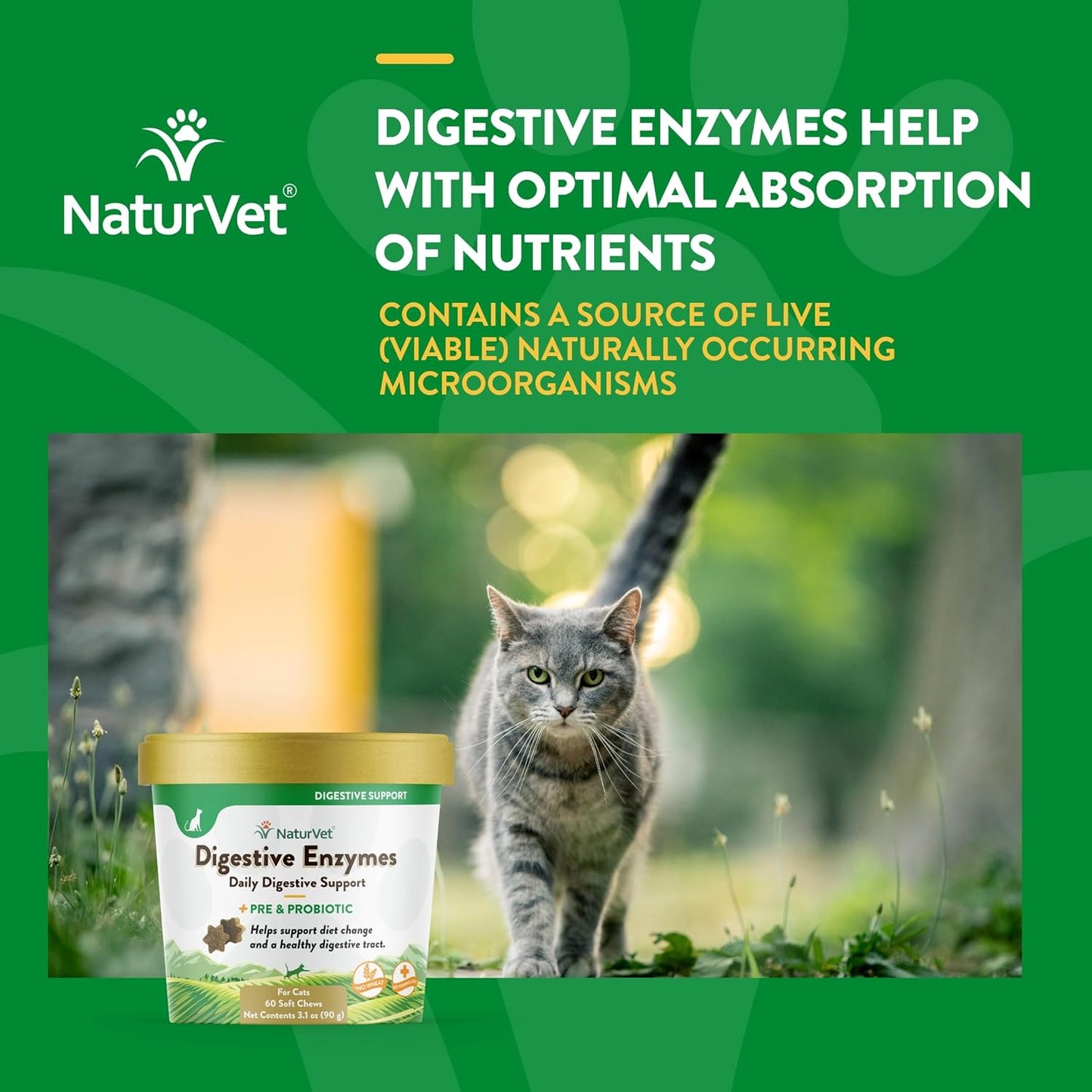NaturVet Enzimas digestivas para gatos más probióticos