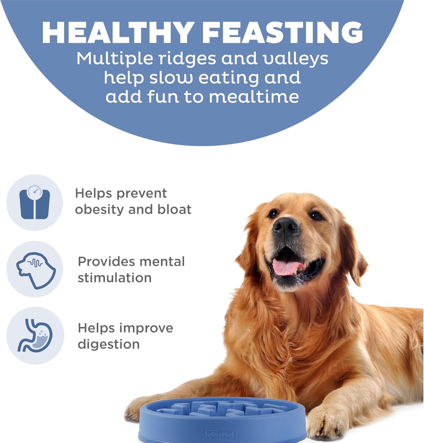 Outward Hound- plato alimentación lenta