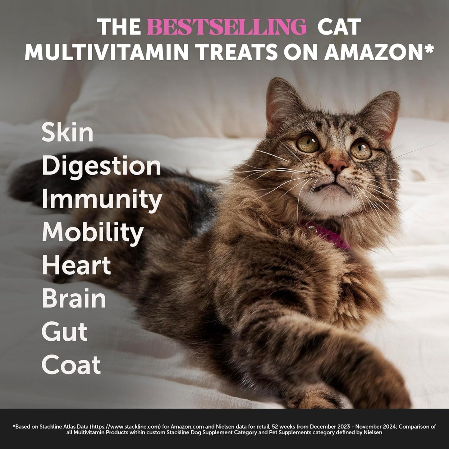 Pet Honesty Cat Multivitamin Crunchy & Creamy Chews