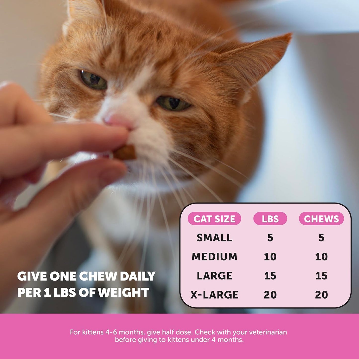 Pet Honesty Cat Multivitamin Crunchy & Creamy Chews