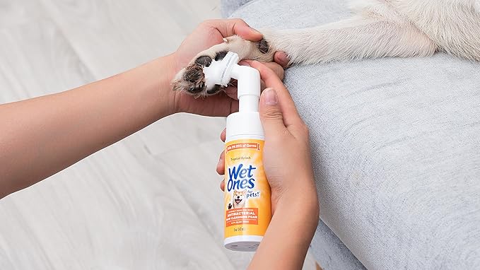 Wet Ones for Pets Espuma limpiadora de patitas antibacteriana