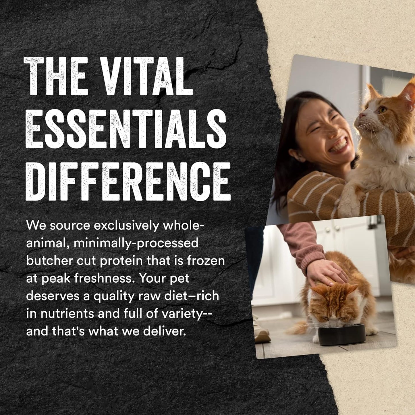 Vital Essentials Salmon Bites - Golosinas para gatos, 1.1 onzas