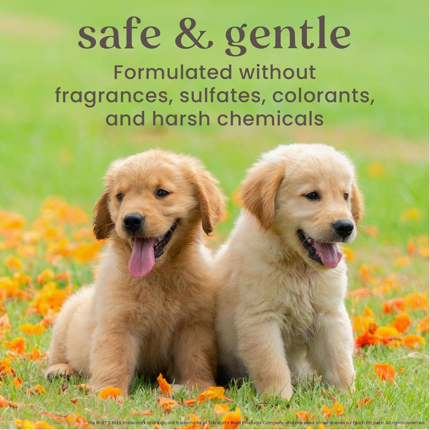 Shampoo 2 en 1 Burts Bees para cachorros