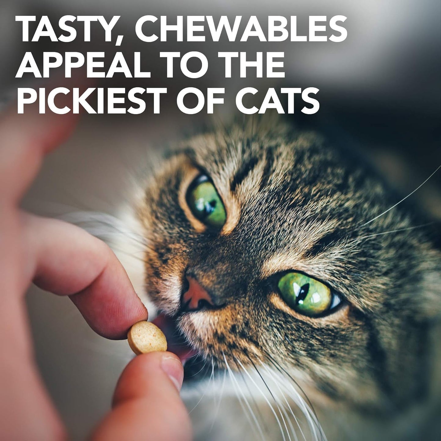 Vet's Best Masticables de apoyo del tracto urinario para gatos