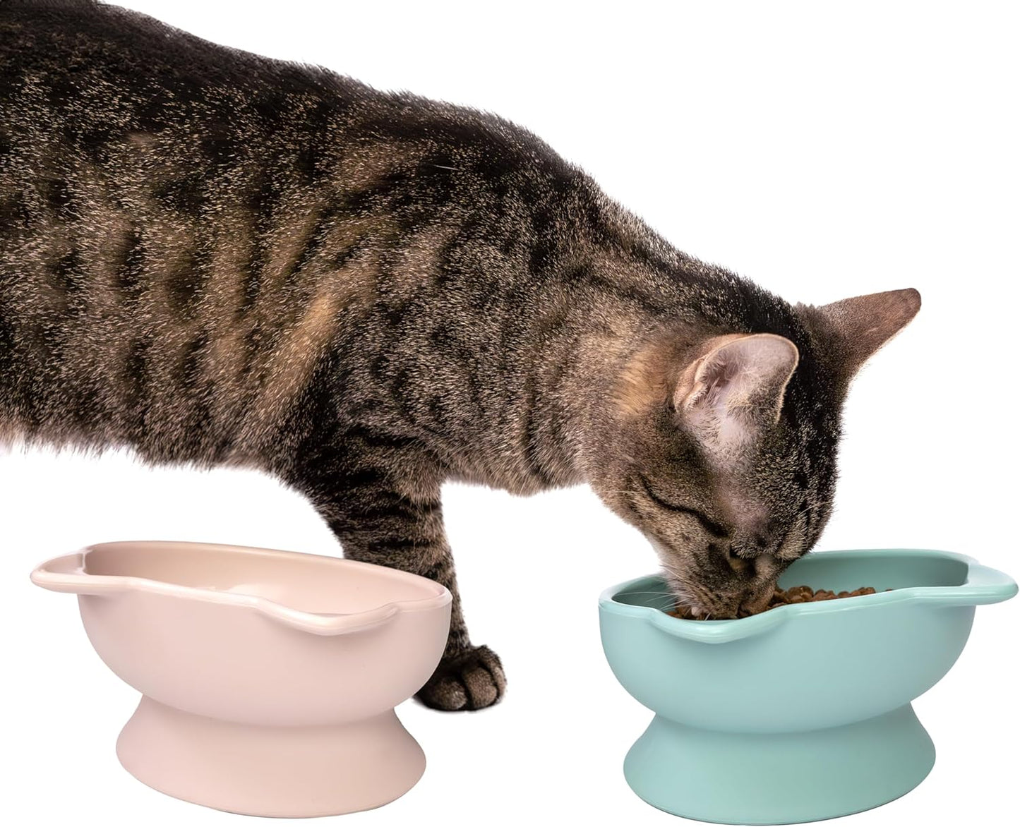 Kitty City Cuencos elevados para gato (Paquete de 2)