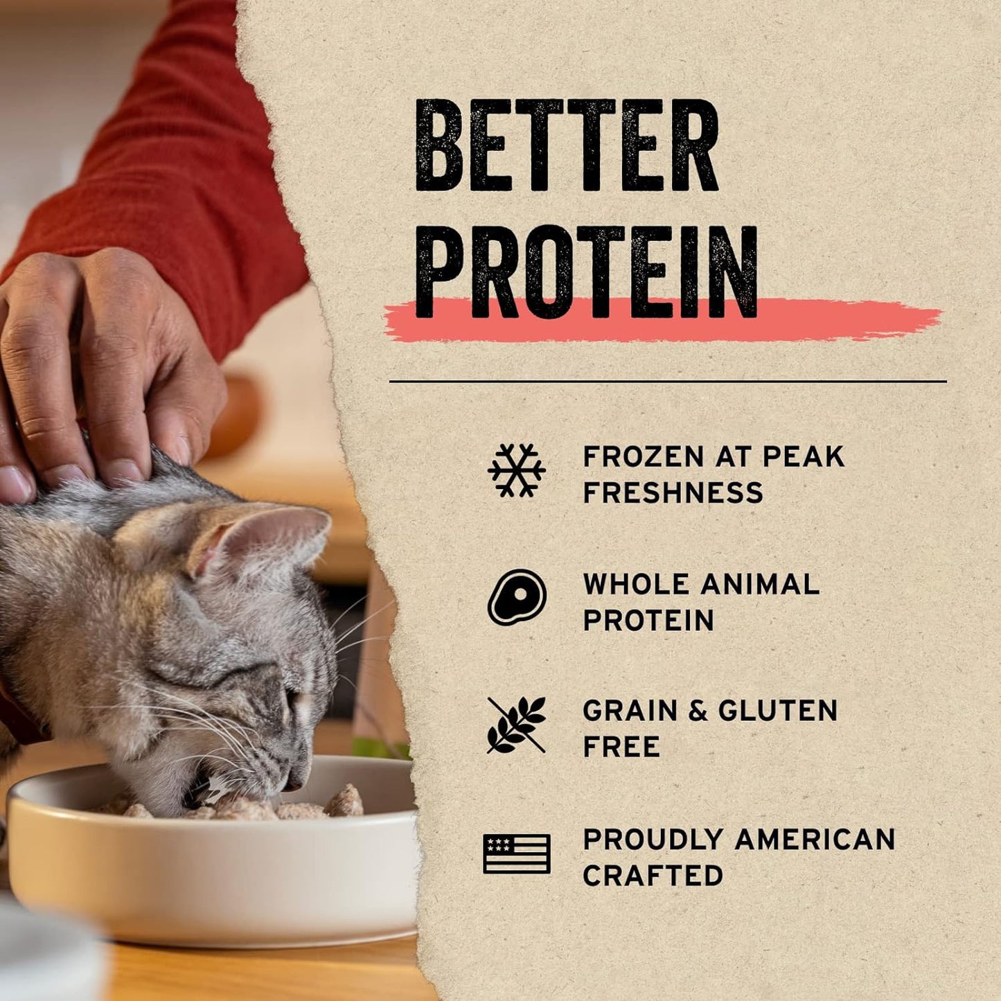 Vital Essentials Salmon Bites - Golosinas para gatos, 1.1 onzas