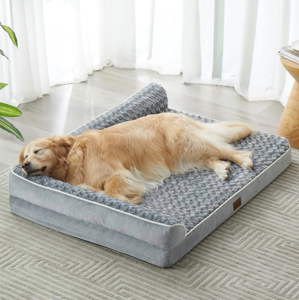 Cama ortopédica para raza mediana y grande, cobertor lavable