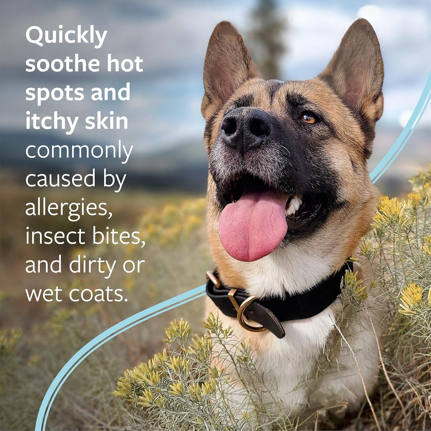Veterinary Formula- Shampoo contra la comezón para perros y gatos