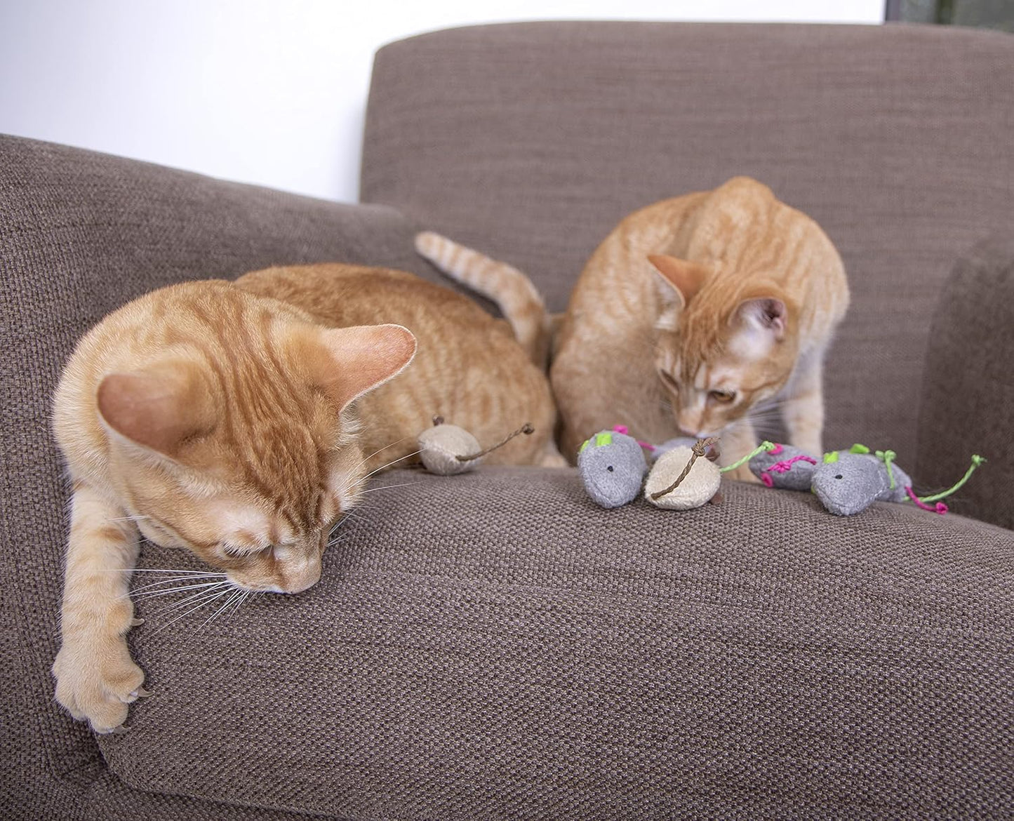 SmartyKat Catnip - Juguetes para gato (10 unidades)