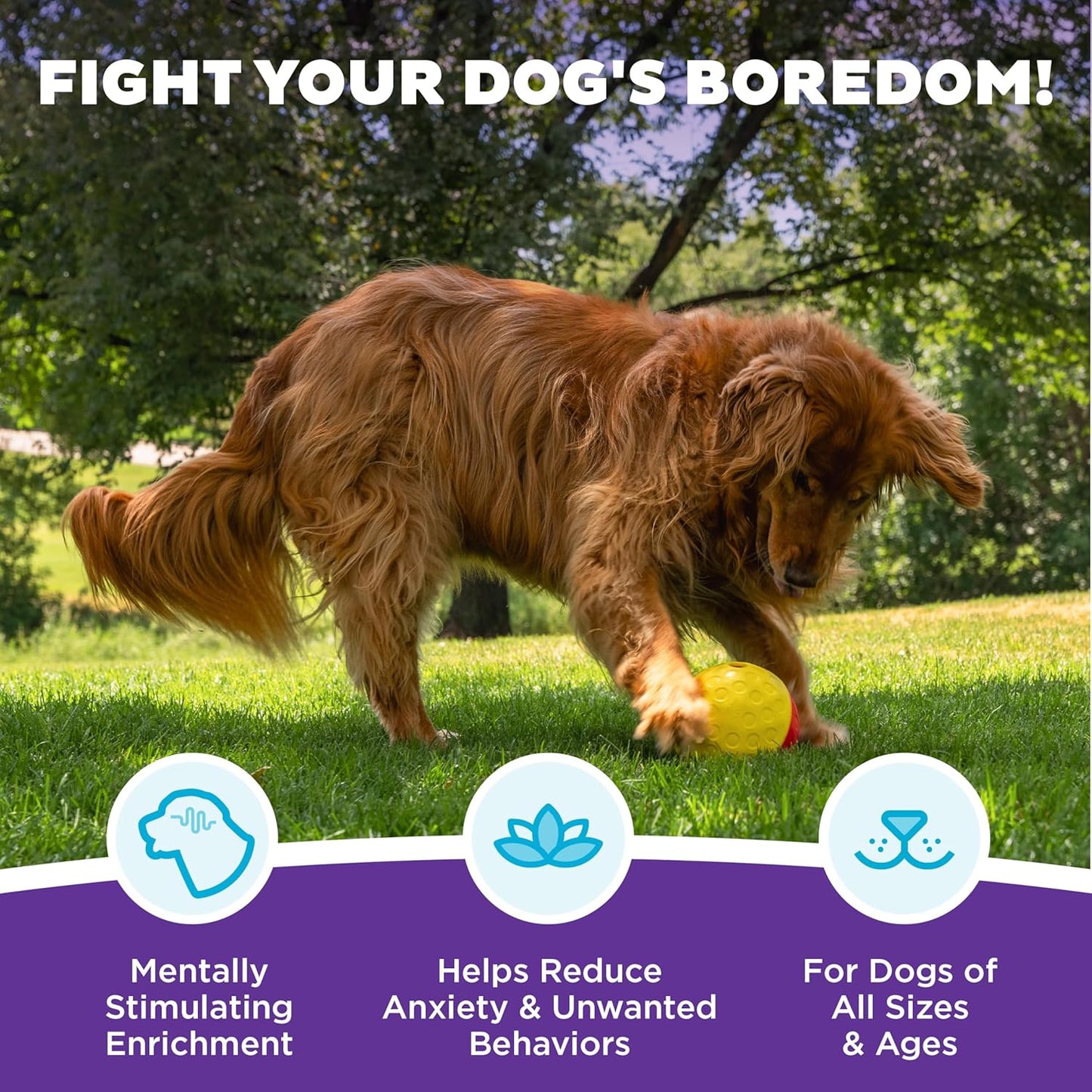 Nina Ottosson - Juguete interactivo de rompecabezas dispensador de premios, tamaño grande