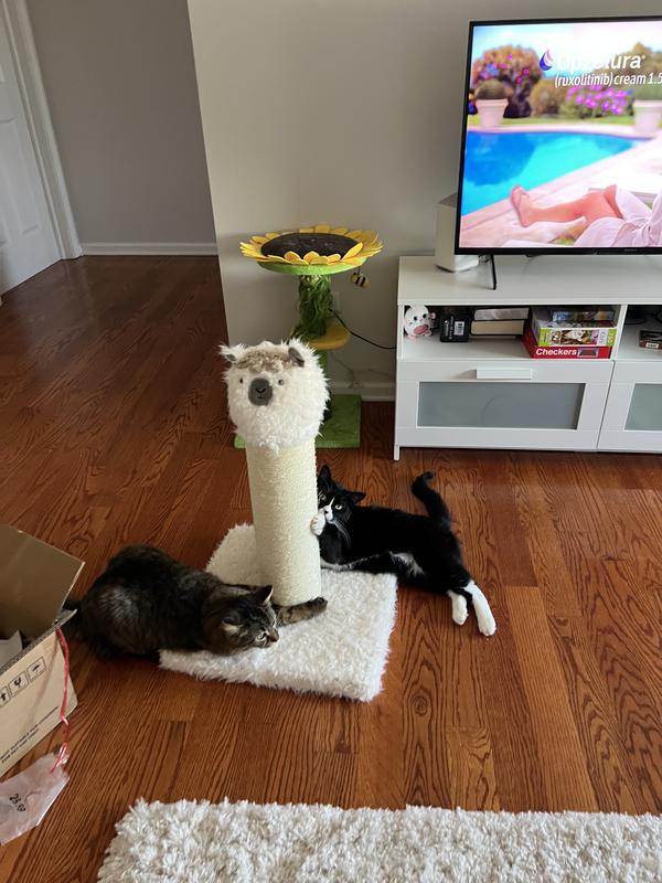 Frisco Animal Series Cat Scratching Post, Llama