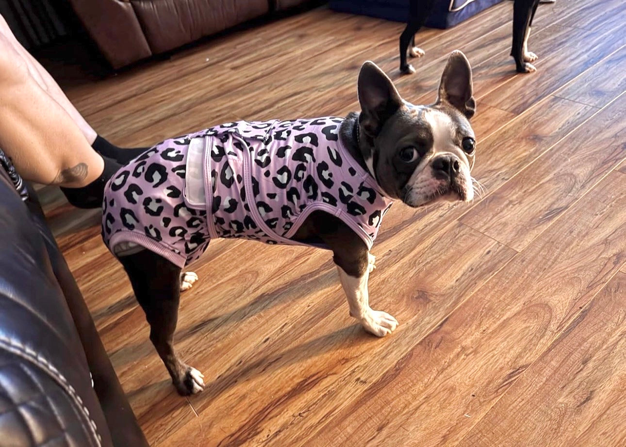 Traje de Recuperación para perros