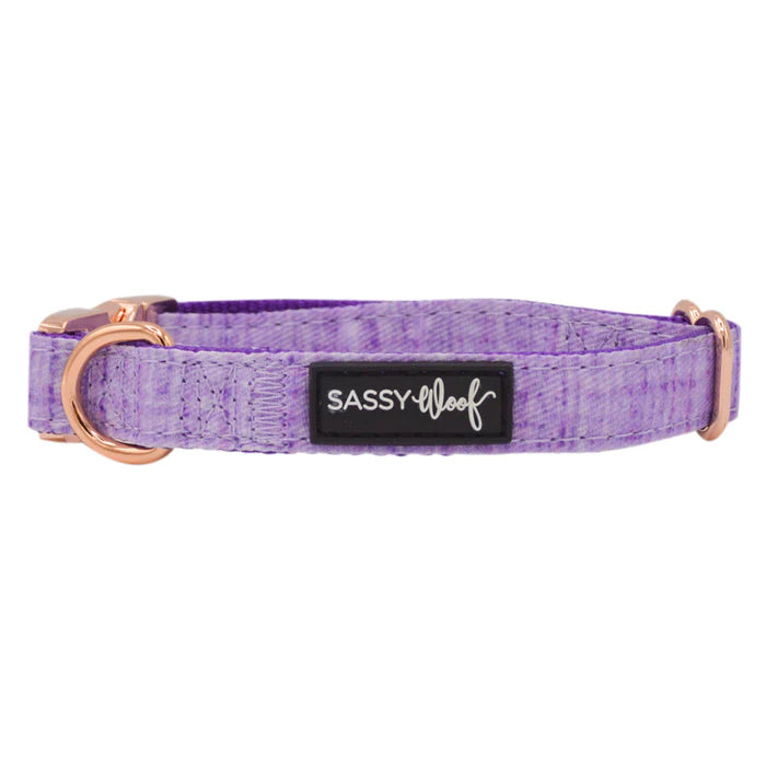 Sassy woof collar - Aurora