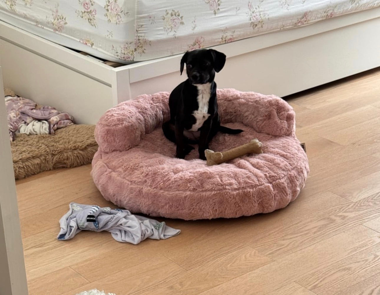 Cama para perro de tamaño mediano