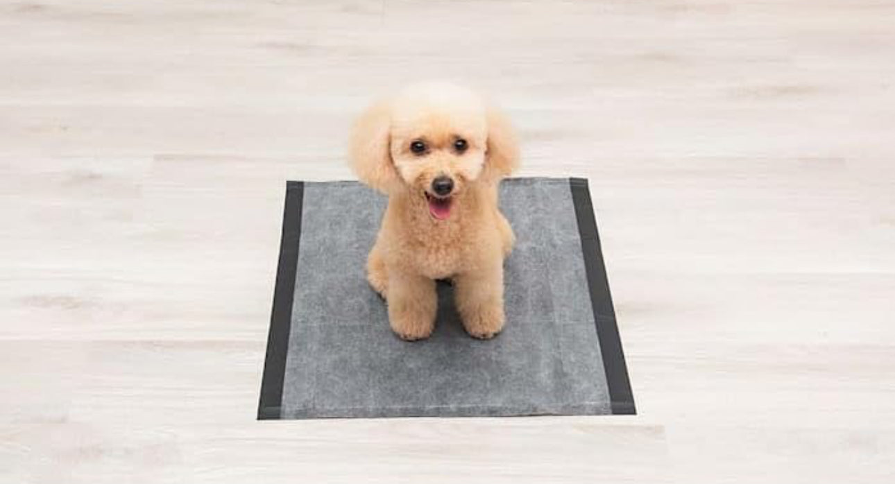 Glad for Pets|Pads de carbón negro para orina de mascotas, desechables, súper absorbentes (23x23 pulgadas, 50 unidades)