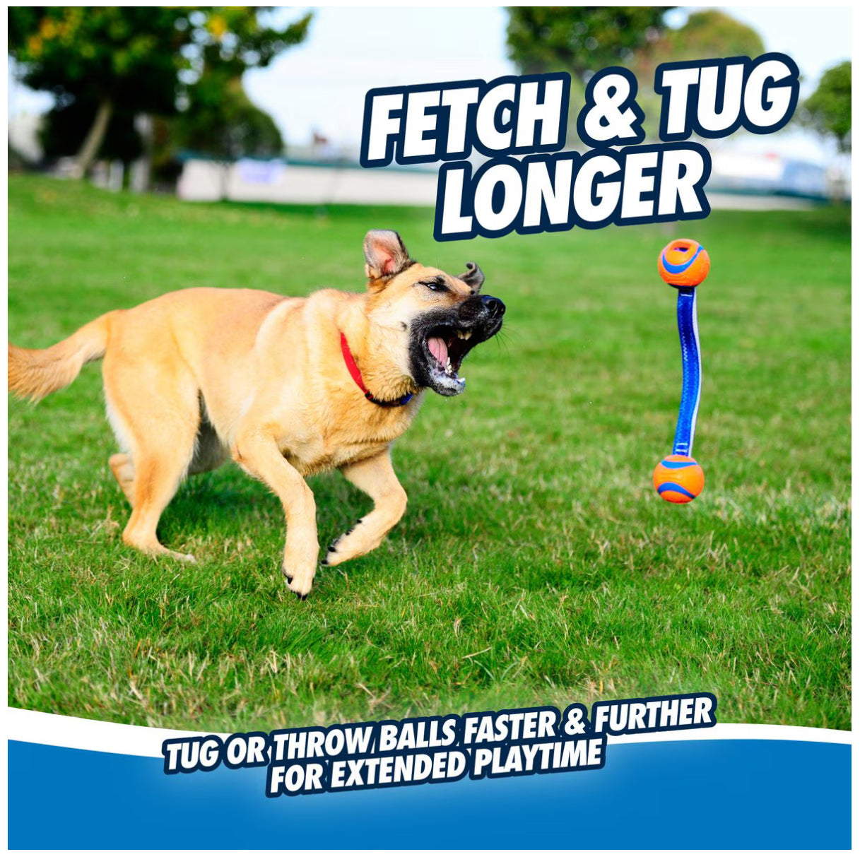 Chuckit! Ultra Duo Tug Tough Dog Toy, Medium