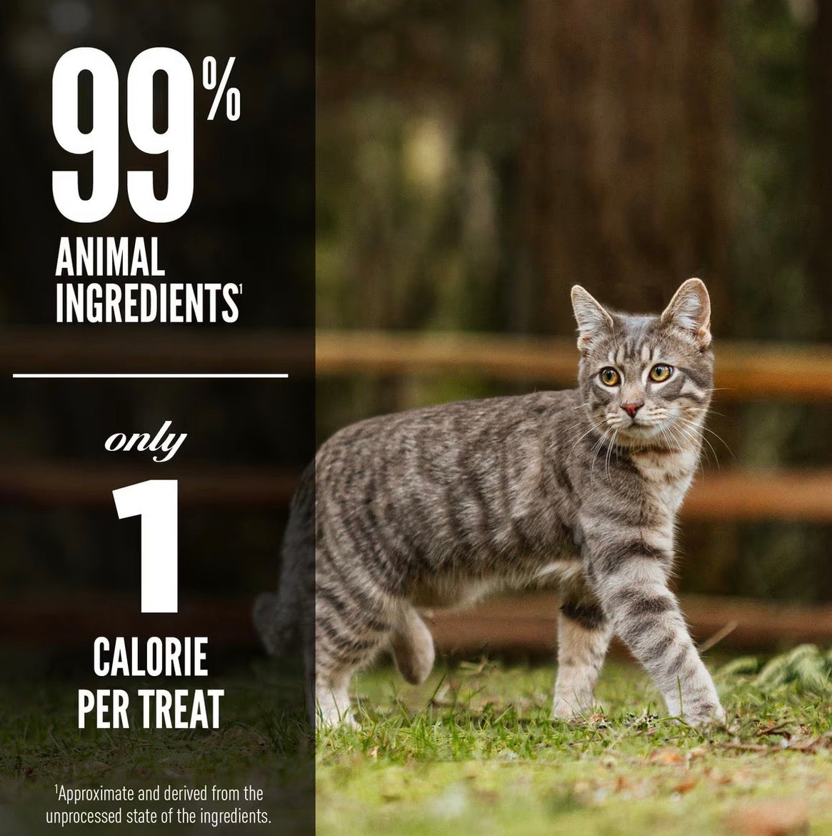 ORIJEN Freeze Dried Cat Treats Grain Free High Protein Raw Animal Ingredients Six Fish 1.25oz Bag
