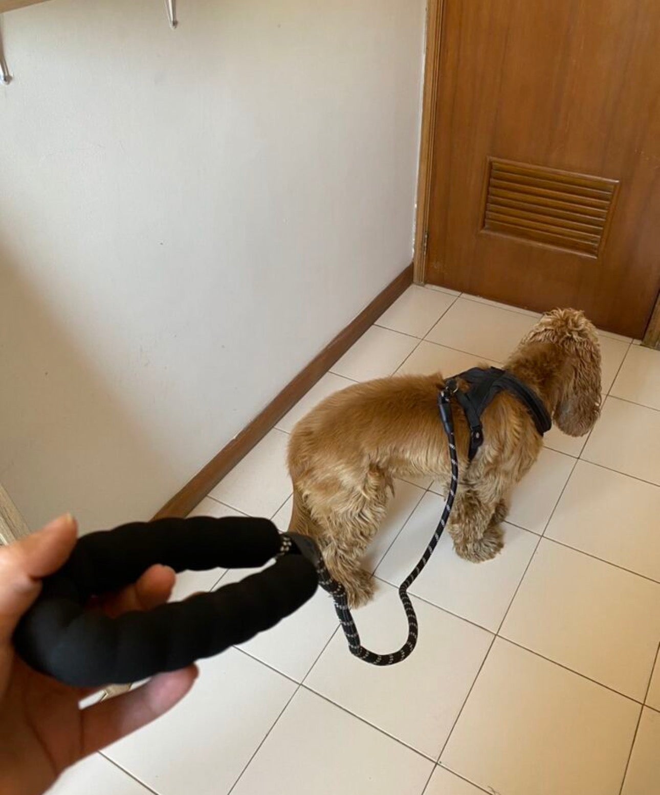Correa para mascota resistente, 4.9 pies