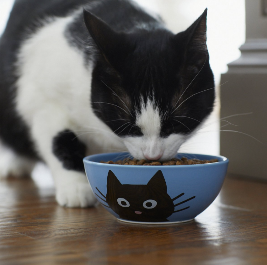 Frisco Cat Face Plato cerámica para gato