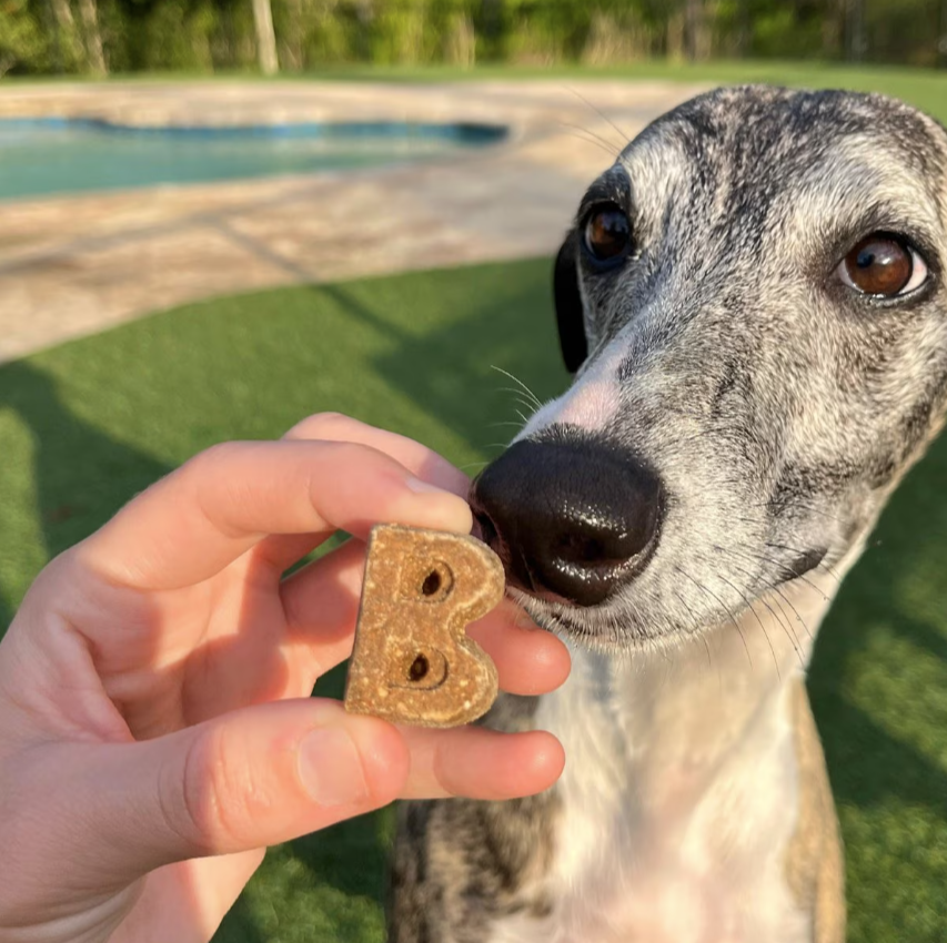 Bocce's Bakery Soft & Chewy Chicken Recipe Dog Treats