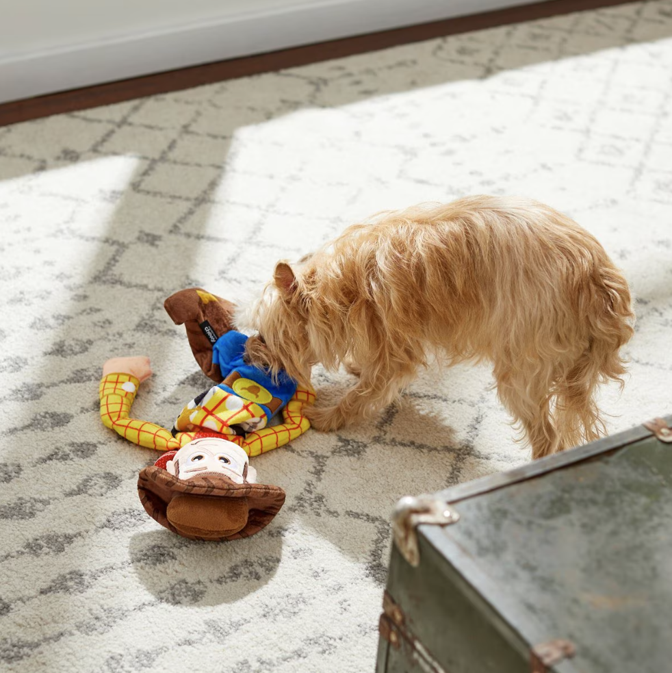 Pixar Woody Bungee Plush Squeaky Dog Toy