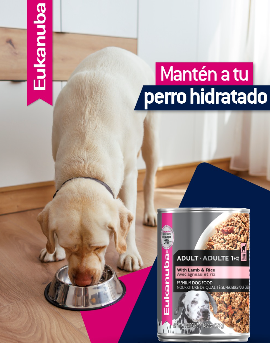 Eukanuba comida humeda para perros adultos con cordero y arroz, lata de 13.2 onzas unidad