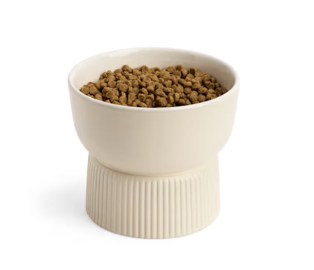 EveryYay Cream Ceramic Dog Bowl, 3.4 Cups