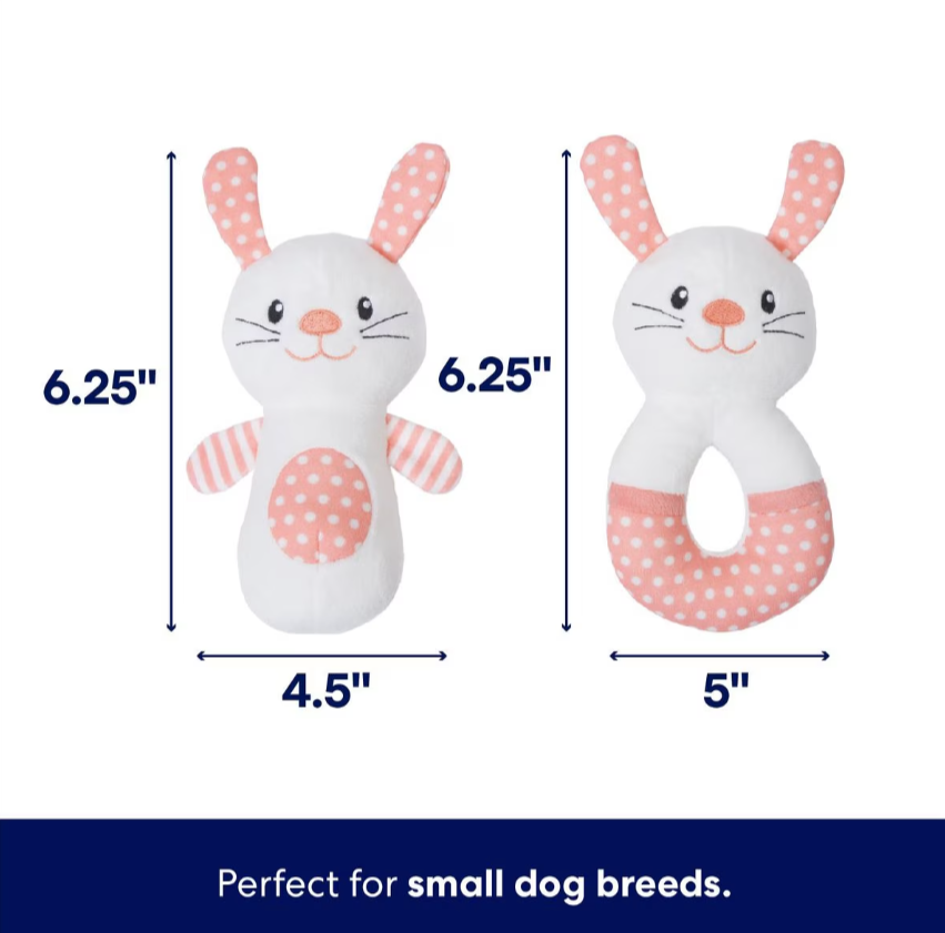 Bunny Plush Squeaky Puppy Toy, Small, 2 count