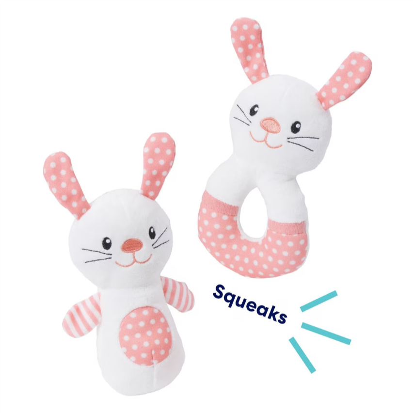 Bunny Plush Squeaky Puppy Toy, Small, 2 count