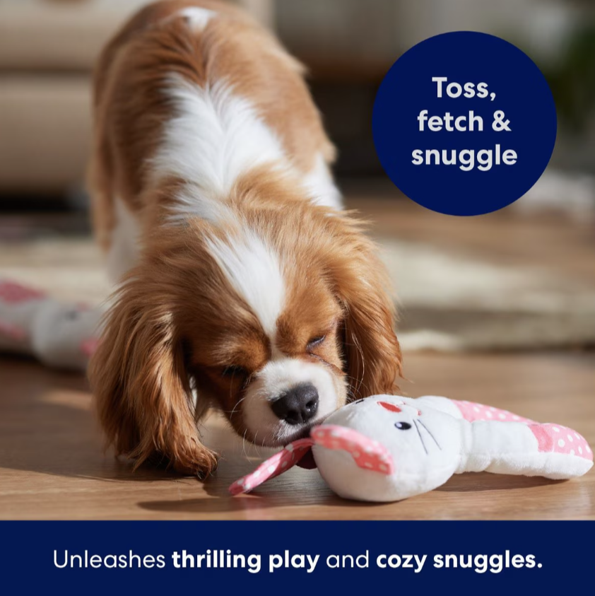 Bunny Plush Squeaky Puppy Toy, Small, 2 count