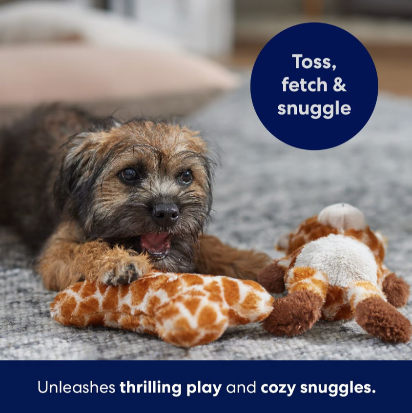 Giraffe Plush Squeaky Puppy Toy, Small/Medium