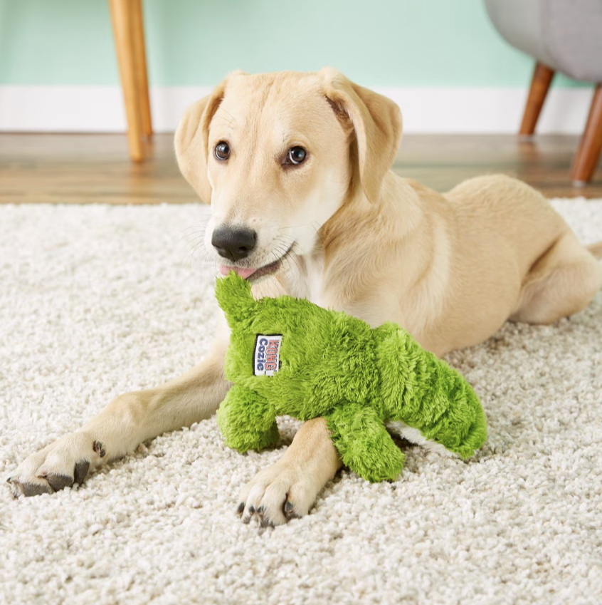 KONG Cozie Ali the Alligator Dog Toy, Medium