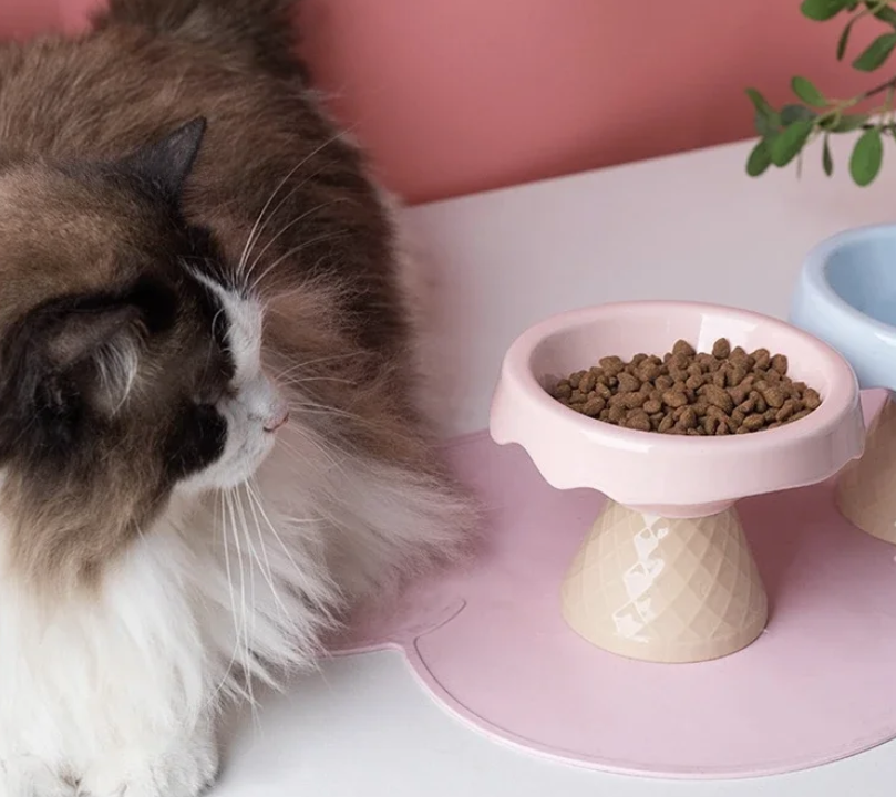 Cuenco de cerámica para gatos helado