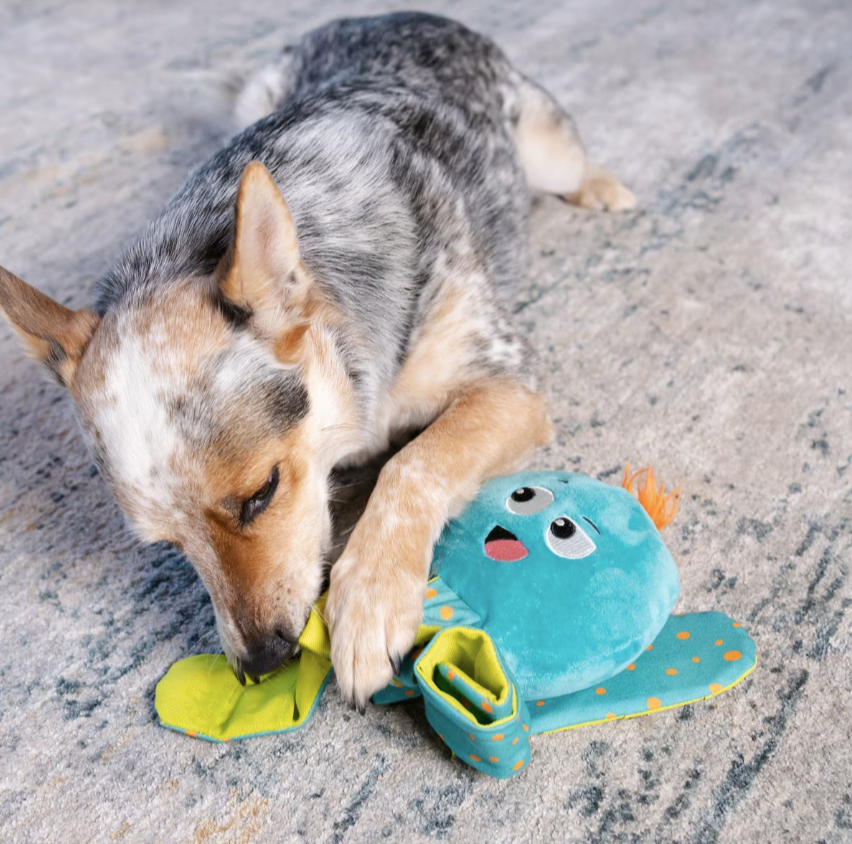 Outward Hound Silly Legz Interactive Plush Puzzle Dog Toy