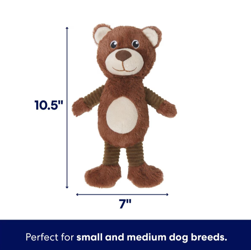 Bear Plush Squeaky Dog Toy, Small