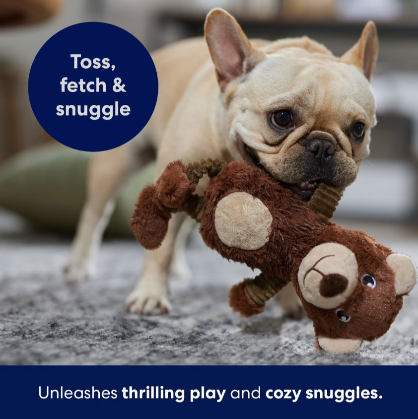 Bear Plush Squeaky Dog Toy, Small