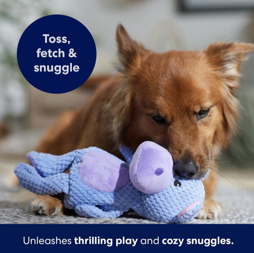 Hippo Textured Plush Squeaky Dog Toy, Medium/Large