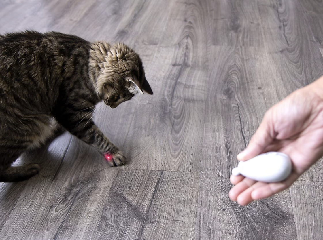 SmartyKat Loco Laser Cat Toy
