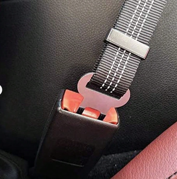 Cinturón de seguridad para mascota