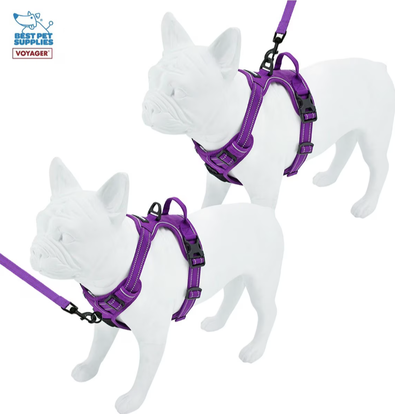 Best Pet Supplies Voyager Dual Attachment Outdoor Dog Harness
