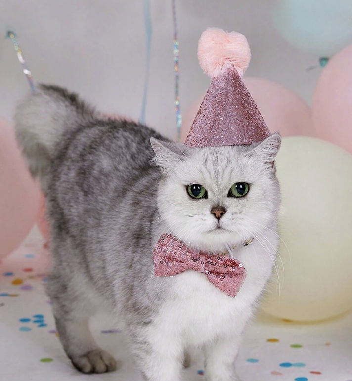 Decoración de cumpleaños para mascota