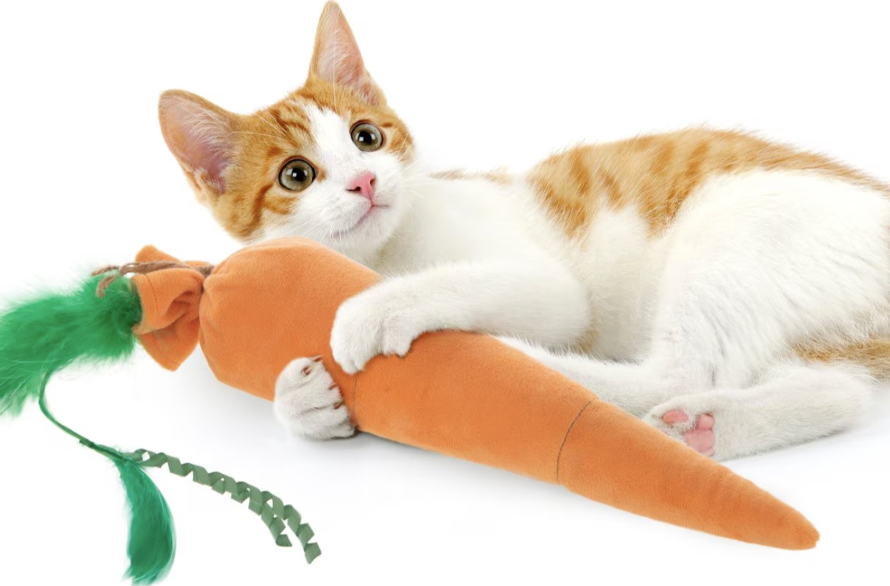 SmartyKat Kolossal Karrot Crinkle Kicker Catnip Cat Toy