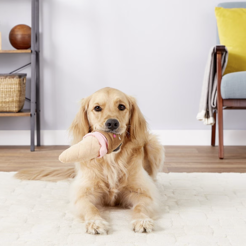 ZippyPaws NomNomz Dog Toy, Ice Cream