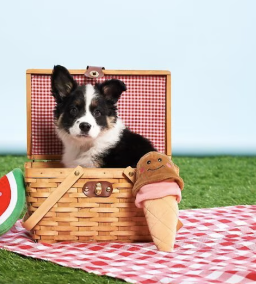 ZippyPaws NomNomz Dog Toy, Ice Cream
