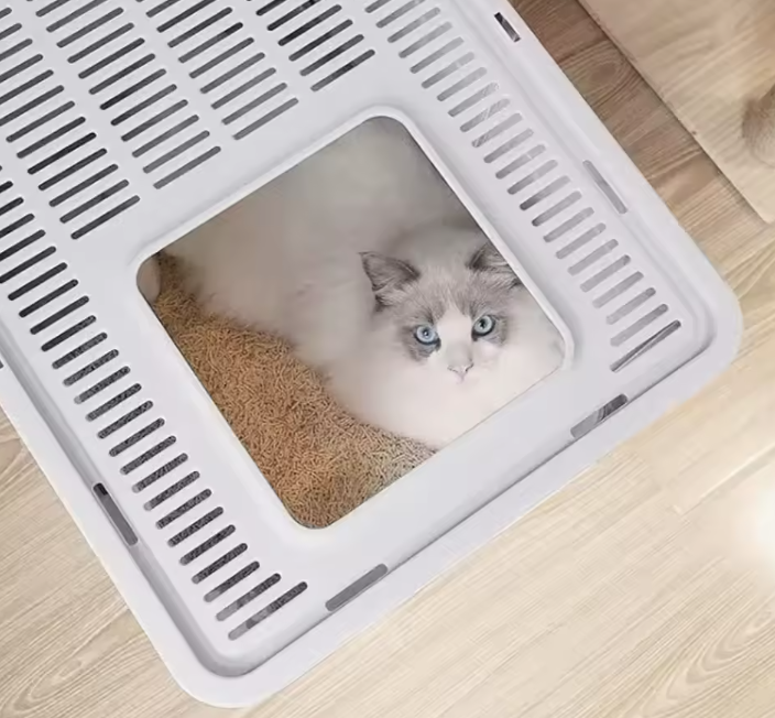 caja de arena plegable: Diseño de cajón con recogedor para una fácil gestión de residuos de gatos